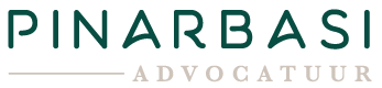 pinarbasi logo